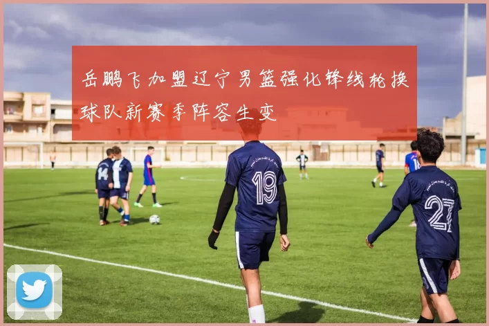 岳鹏飞加盟辽宁男篮强化锋线轮换球队新赛季阵容生变