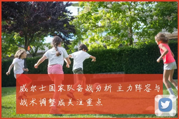 威尔士国家队备战分析 主力阵容与战术调整成关注重点