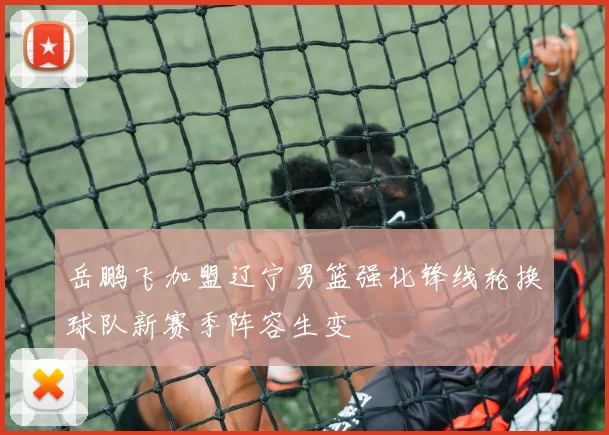 岳鹏飞加盟辽宁男篮强化锋线轮换球队新赛季阵容生变