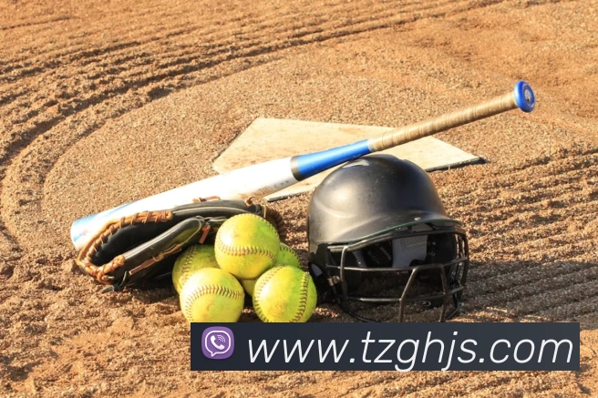 卡塔尔世界杯转播安排落定 央视与网络平台直播时间及观看渠道影响球迷观赛